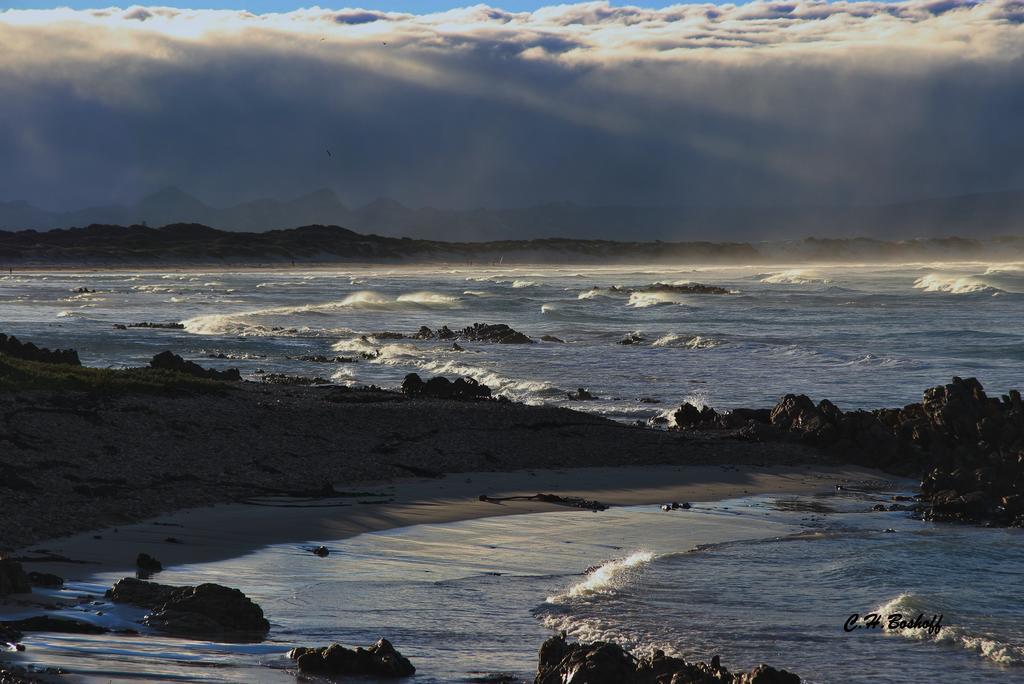 Walkerbay Accommodation Gansbaai Eksteriør billede