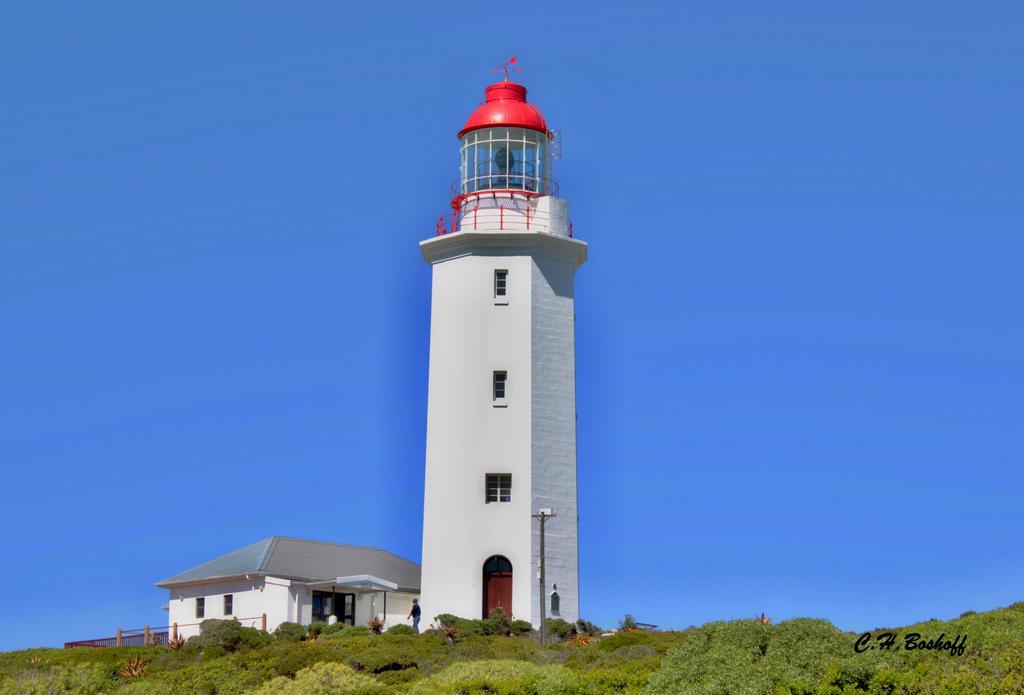 Walkerbay Accommodation Gansbaai Eksteriør billede
