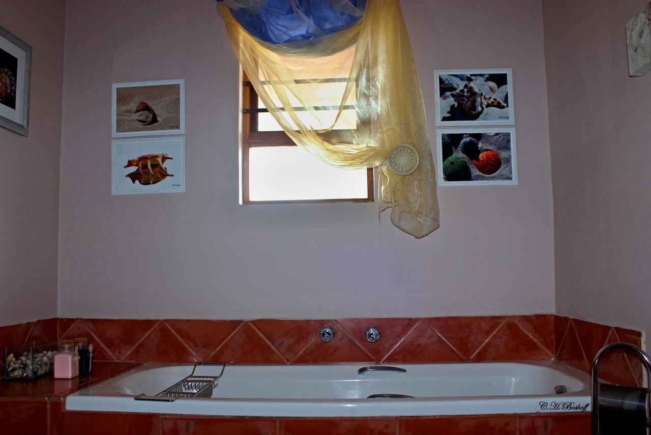 Walkerbay Accommodation Gansbaai Eksteriør billede